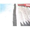 Image 5 : Ganado Rug