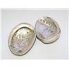 Image 1 : Lot of 2 Abalone Oyster Shell