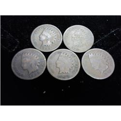 5 Assorted 1880's Indian Head Cents