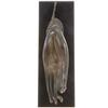 Image 1 : Bronze Buddha Hand on Base (CLB-093)
