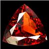 42.54ct Citrine Trillion Cut Orange Red (GEM-23041)