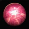 Image 1 : 9.20ct Oval Cabochon Red Star Ruby (GEM-21400)