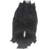 Black Stingray Skin Pelt (CLB-107)