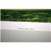 Image 2 : "Spyglass Hill" By  Kenneth Reed Print