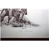 Image 3 : " Roping Calf" by Eva Caprani