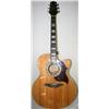 Takamine G Series Acoustic Guitar