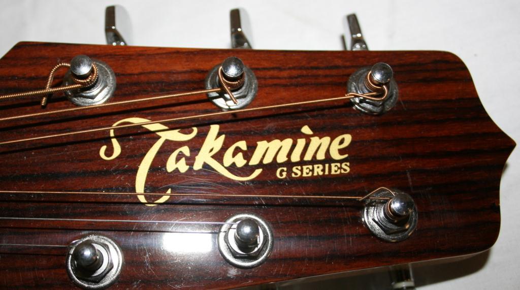 Takamine G Series Acoustic Guitar