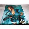 Image 1 : Box of 25 Tomb Raider Posters