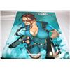 Image 3 : Box of 25 Tomb Raider Posters