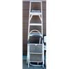Image 1 : A Style Ladder & 2 Step Ladders