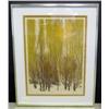 Image 1 : Framed Signed & Numbered Print
