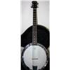 Image 1 : Tyler Mountain Banjo in a Black Hard Case