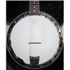 Image 2 : Tyler Mountain Banjo in a Black Hard Case