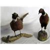 Image 2 : 2 Stuffed & Mounted Pheasants