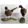Image 3 : 2 Stuffed & Mounted Pheasants
