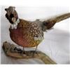 Image 4 : 2 Stuffed & Mounted Pheasants