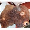 Image 2 : Buffalo Head