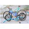 Image 1 : 2 Misc. Bikes & Instep Haul Bike