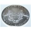 Image 1 : 2009 Silver Eagle One Dollar Coin