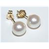 Image 1 : Real Pearl Earrings