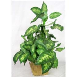 Artificial Plant in a Wicker 37" Tall