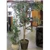 Image 1 : Lot of 2 Artificial Trees