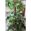 Image 1 : 5 ft Tall Artificial Plant