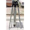 Image 1 : Extendable Ladder