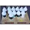 Image 1 : Pallet of Cleaning Fluids