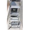 Image 2 : Extendable Ladder