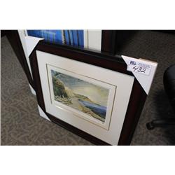 Limited Edition Print