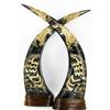 Image 1 : Rare Scrimshaw Water Buffalo Horn Pair (CLB-589)