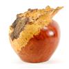 Image 4 : Rare Afzelia Burl Hand Carved Vase (DEC-067)