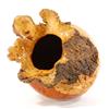Image 5 : Rare Afzelia Burl Hand Carved Vase (DEC-067)