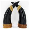 Image 2 : Rare Scrimshaw Water Buffalo Horn Pair Intricately Carved (CLB-591)