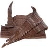 Image 1 : Dark Brown Crocodile Skin Pelt (CLB-108)