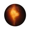Image 1 : 2.14ct Siliminate Cat's Eye Cabochon (GEM-26218)