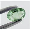 Image 1 : 1.02ct Fancy Paraiba Tourmaline Oval Cut (GEM-26258)