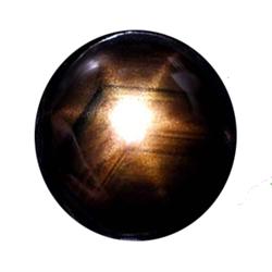 0.55ct Natural Black Star Sapphire 6 Ray Cabochon (GEM-22573D)