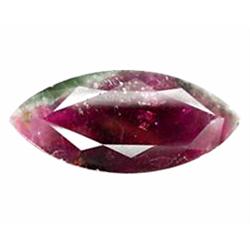 17.81ct Ravishing  Natural Bi-Color Tourmaline   (GEM-22753)