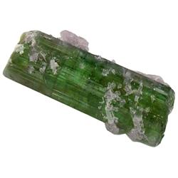 16ct Green Tourmaline Crystal Term. w/Lepidolite (GEM-24340)