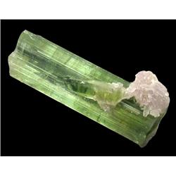 3.16ct Mixed Color Tourmaline Crystal Brazil (GEM-23971C)