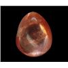 Image 1 : 0.86ct Cabochon Madagascar Fancy Ruby (GEM-26525)