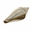 Image 3 : Hilltribe Silver Handcrafted Shell (CLB-224)
