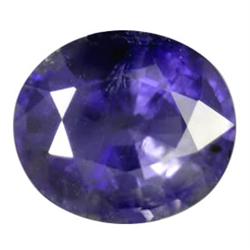 9.30ct Massive Natural Purple Blue Iolite  (GEM-23238)