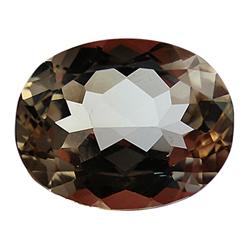 24.90ct Jumbo Rare Unheated Champagne Imperial Topaz Appraisal Estimate $62250 (GEM-24613)