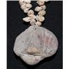 Image 2 : Anasazi Shell Necklace
