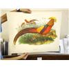 Image 3 : Various subjects; Artist: Various Artists