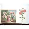 Image 5 : Various subjects; Artist: Various Artists