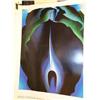 Image 4 : Various subjects; Artist: Various Artists